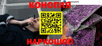 индика Бузулук